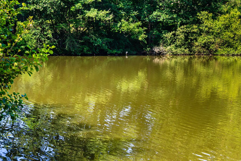 ETANGS DE L'ARMAGNAC