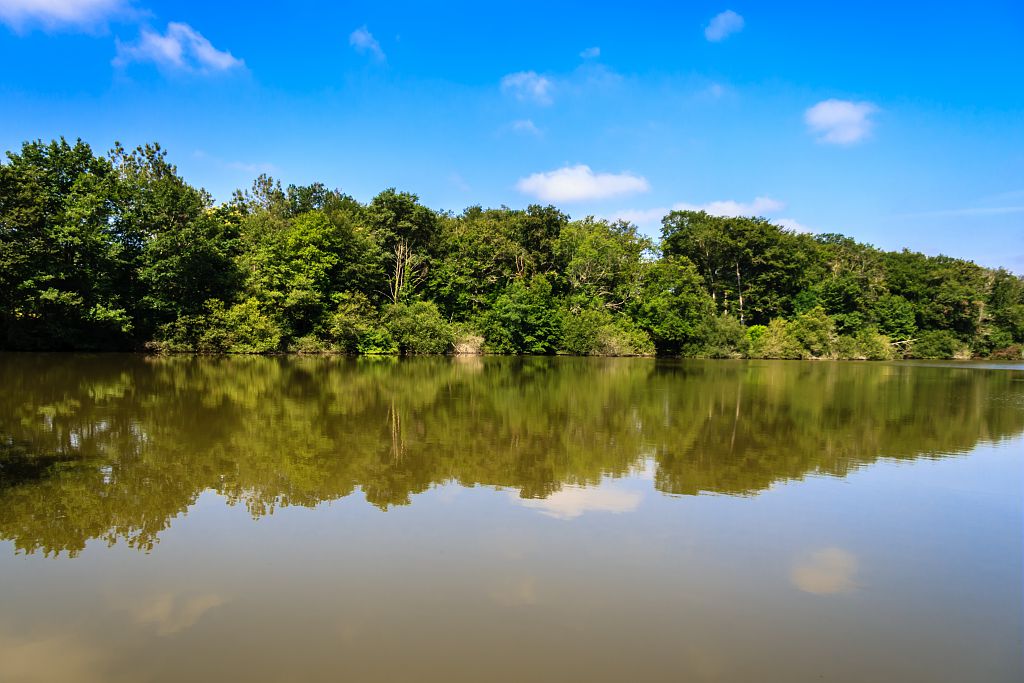 ETANGS DE L'ARMAGNAC