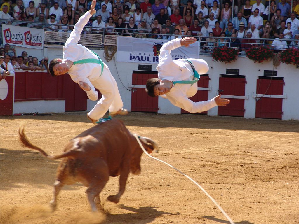 Course landaise 
