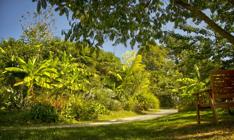 palmeraie du sarthou