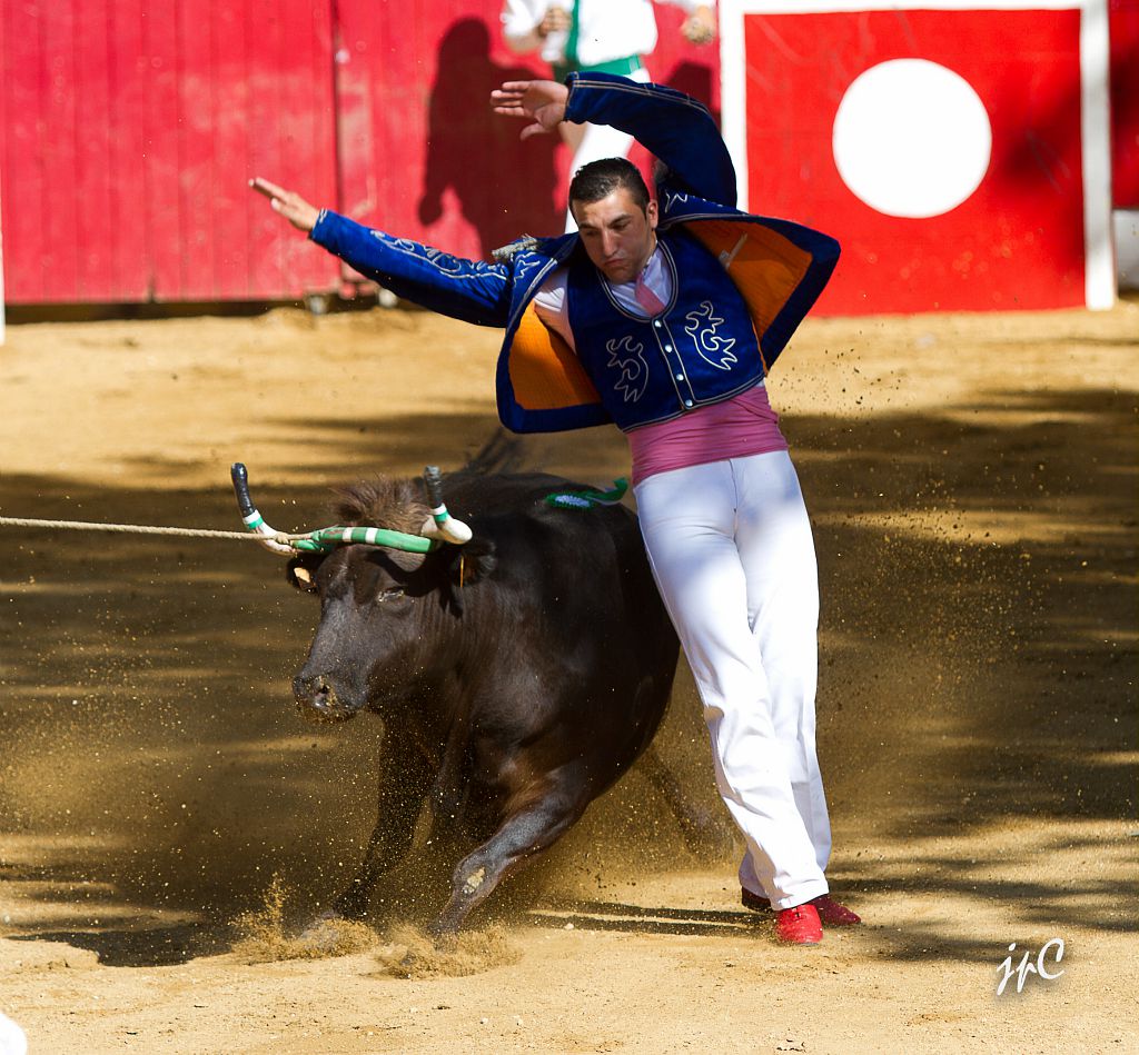 course landaise