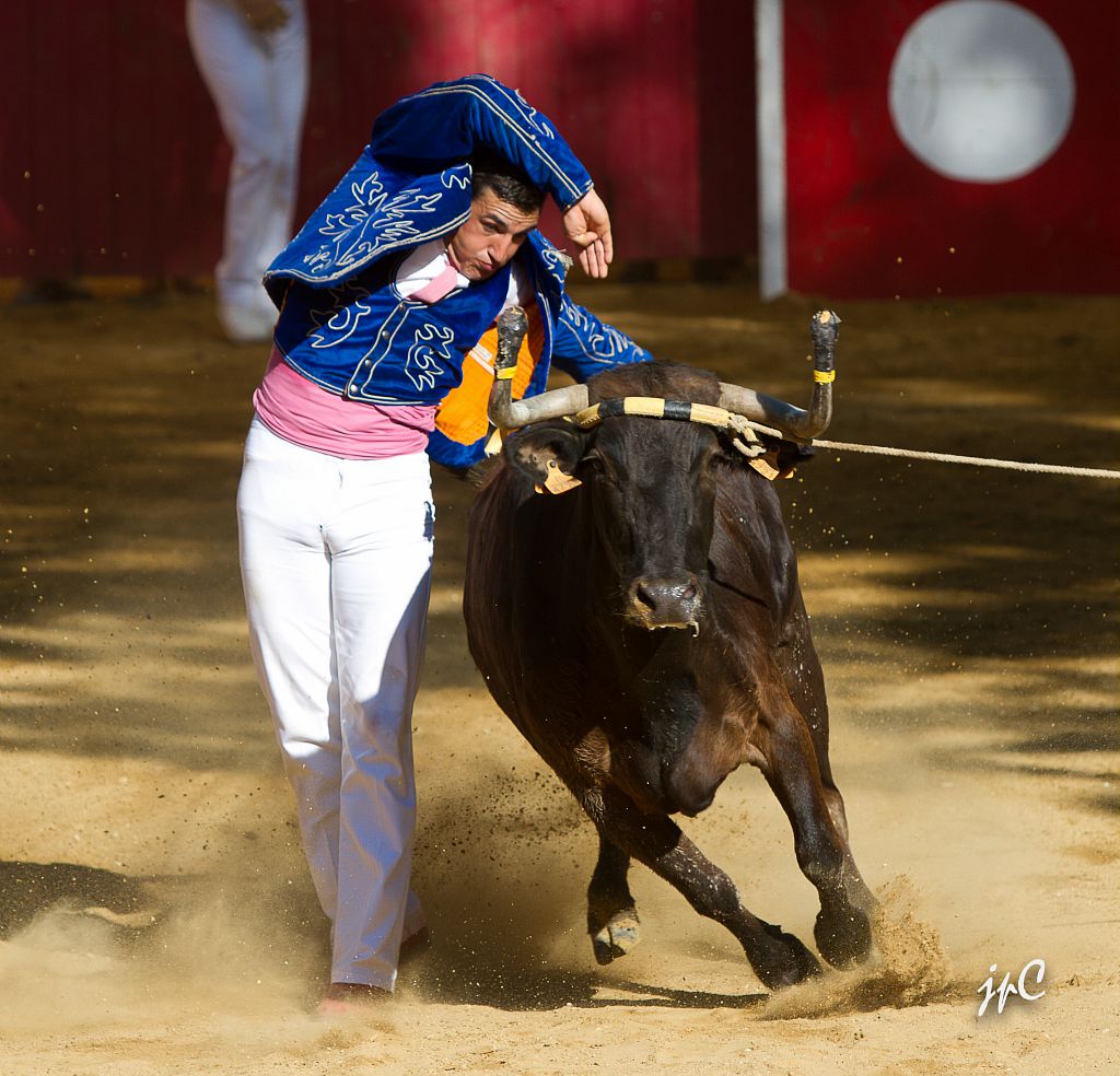 Course landaise