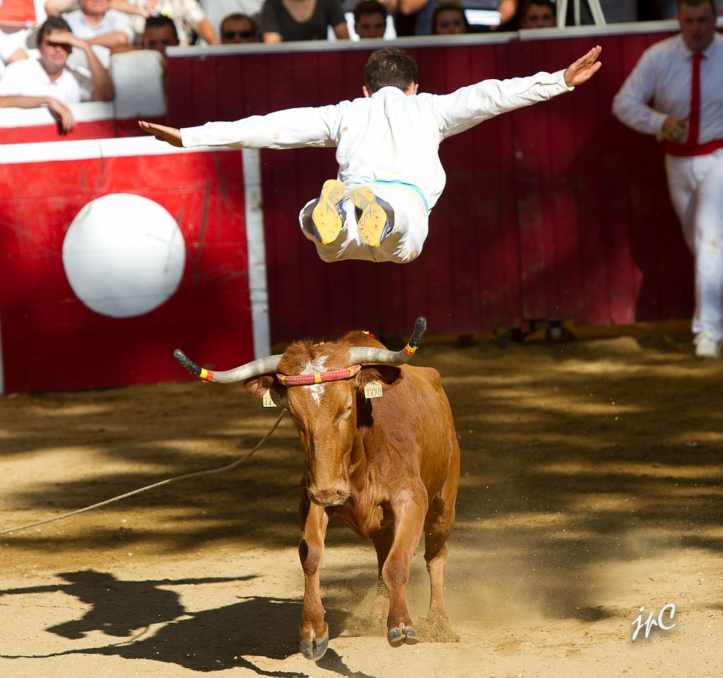 corne d'or