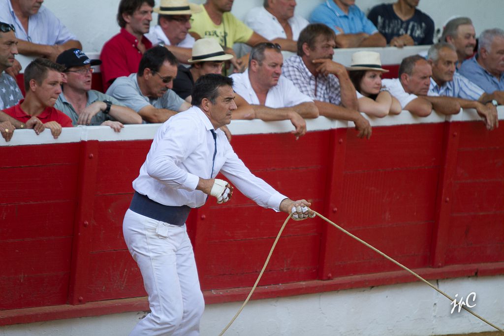 Course landaise