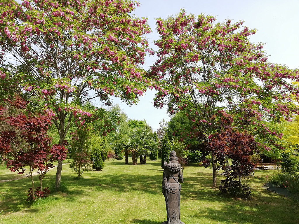lassis jardin